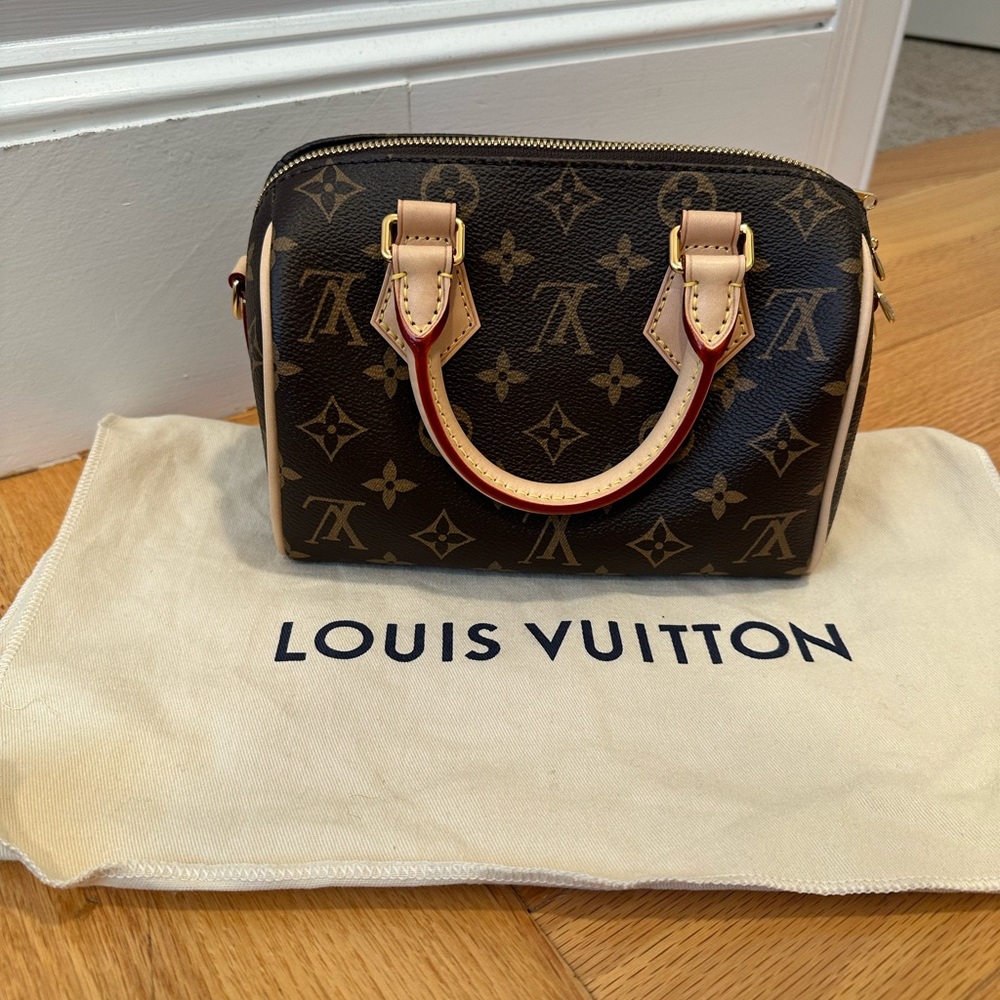 Louis Vuitton Speedy 20 Monogram Bag